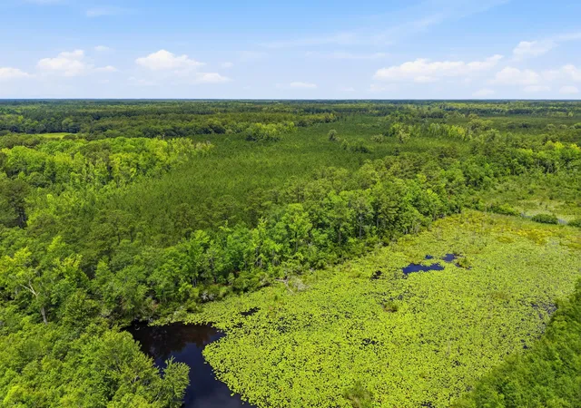 Photo 37 of Land for sale at 1530 Catfish Ln, Manning, SC 29102 | MLS# 26018443 | Listing updated on 2026-08-28