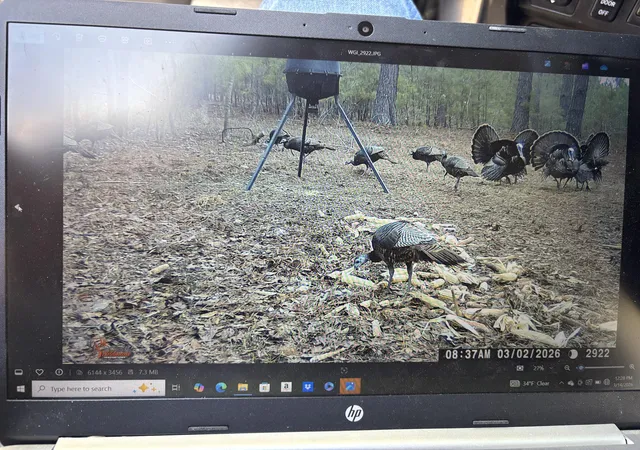 Photo 4 of Land for sale at 1530 Catfish Ln, Manning, SC 29102 | MLS# 26018443 | Listing updated on 2026-08-28