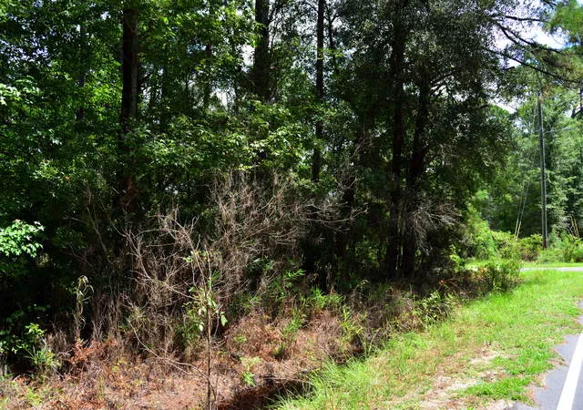 1st image of 0 Cherry Hill Rd, Hollywood, SC 29449 | MLS# 25023693