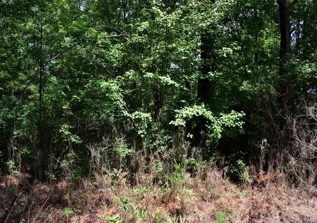 2nd image of 0 Cherry Hill Rd, Hollywood, SC 29449 | MLS# 25023693