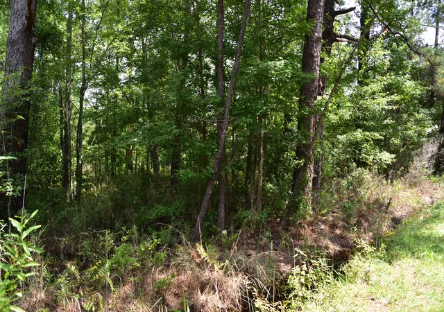 3rd image of 0 Cherry Hill Rd, Hollywood, SC 29449 | MLS# 25023693
