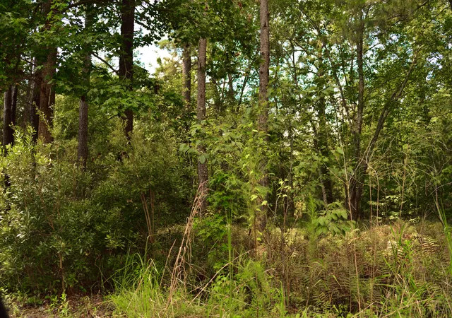 4th image of 0 Cherry Hill Rd, Hollywood, SC 29449 | MLS# 25023693