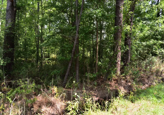 5th image of 0 Cherry Hill Rd, Hollywood, SC 29449 | MLS# 25023693