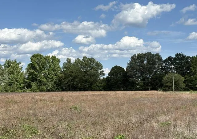 Homes for sale in Summerton, SC | Tbd Liberty Hill Rd, Summerton, SC 29148 | MLS# 26018266