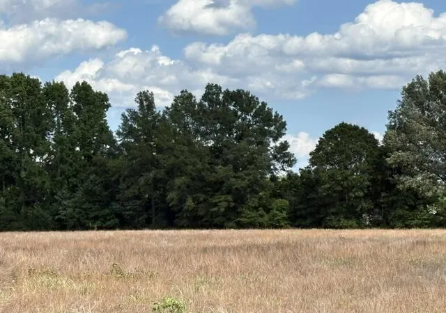 Homes for sale in Summerton, SC | Tbd Liberty Hill Rd, Summerton, SC 29148 | MLS# 26018266