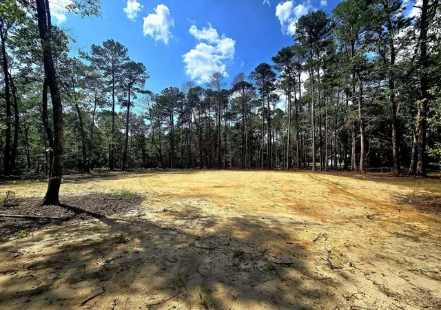 image of 0 White Sands Rd, Walterboro, SC 29488 | MLS# 26023285