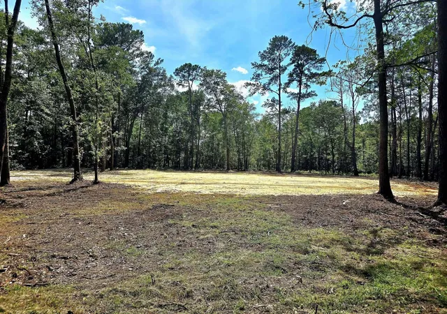 image of 0 White Sands Rd, Walterboro, SC 29488 | MLS# 26023285