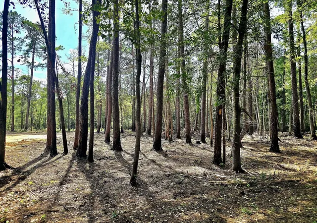 image of 0 White Sands Rd, Walterboro, SC 29488 | MLS# 26023285