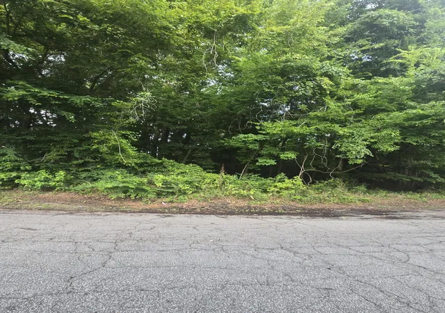 Homes for sale in Summerville, SC | 0 Judith Lot 2 Dr, Summerville, SC 29485 | MLS# 26017654