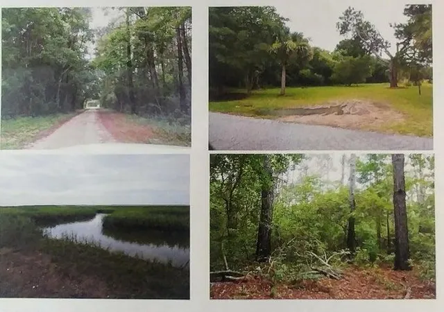 Photo 1 of Land for sale at 0 Gadsdenville Rd, Awendaw, SC 29429 | MLS# 24003095 | Listing updated on 2026-06-26