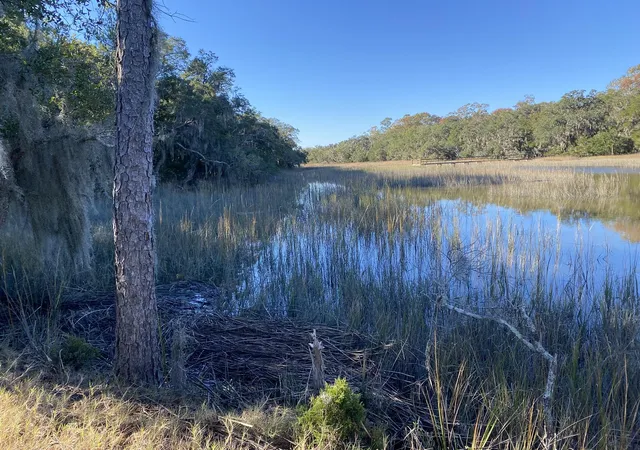 Photo 3 of Land for sale at 6444 St Anthony Dr, Hollywood, SC 29449 | MLS# 25025709 | Listing updated on 2026-09-30