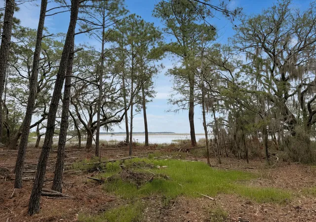 5th image of 34 Creekmoor Ln, Seabrook, SC 29940 | MLS# 26012524