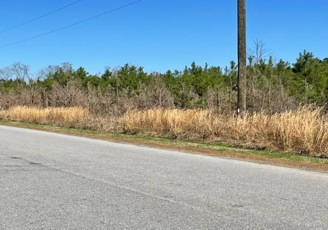 Photo 2 of Land for sale at 0 Herndon St, Walterboro, SC 29488 | MLS# 26005739 | Listing updated on 2026-08-26