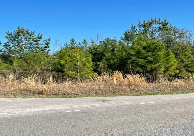 Photo 3 of Land for sale at 0 Herndon St, Walterboro, SC 29488 | MLS# 26005739 | Listing updated on 2026-08-26