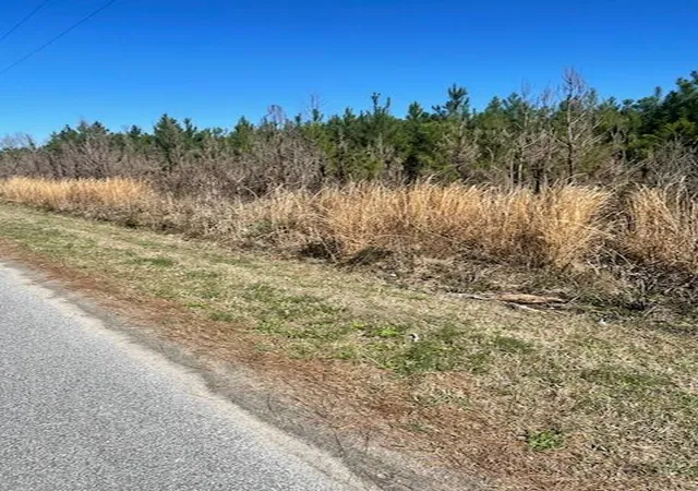 Photo 4 of Land for sale at 0 Herndon St, Walterboro, SC 29488 | MLS# 26005739 | Listing updated on 2026-08-26