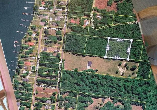 Homes for sale in Eutawville, SC | 0 Riverside Dr, Eutawville, SC 29048 | MLS# 26015060