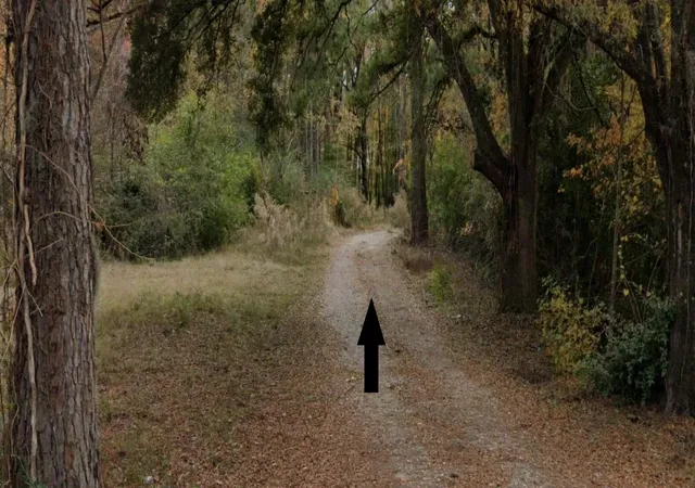 5th image of 02 Pidgeon Bay Rd, Summerville, SC 29483 | MLS# 26017831