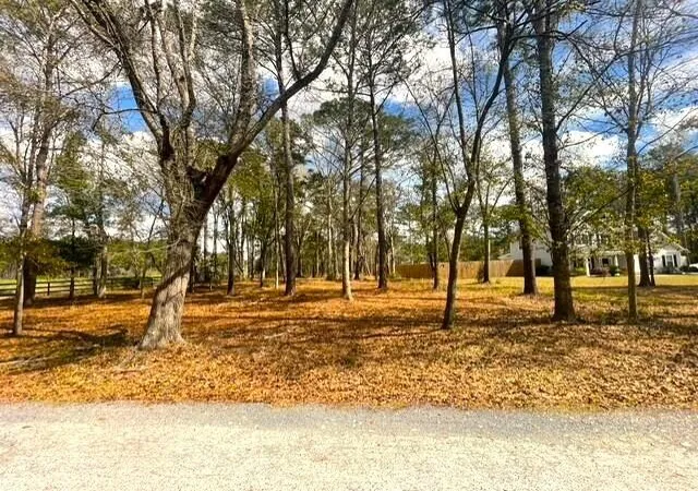 Photo 3 of Land for sale at 5565 Huckleberry Ln, Mc Clellanville, SC 29458 | MLS# 26006501 | Listing updated on 2026-08-21