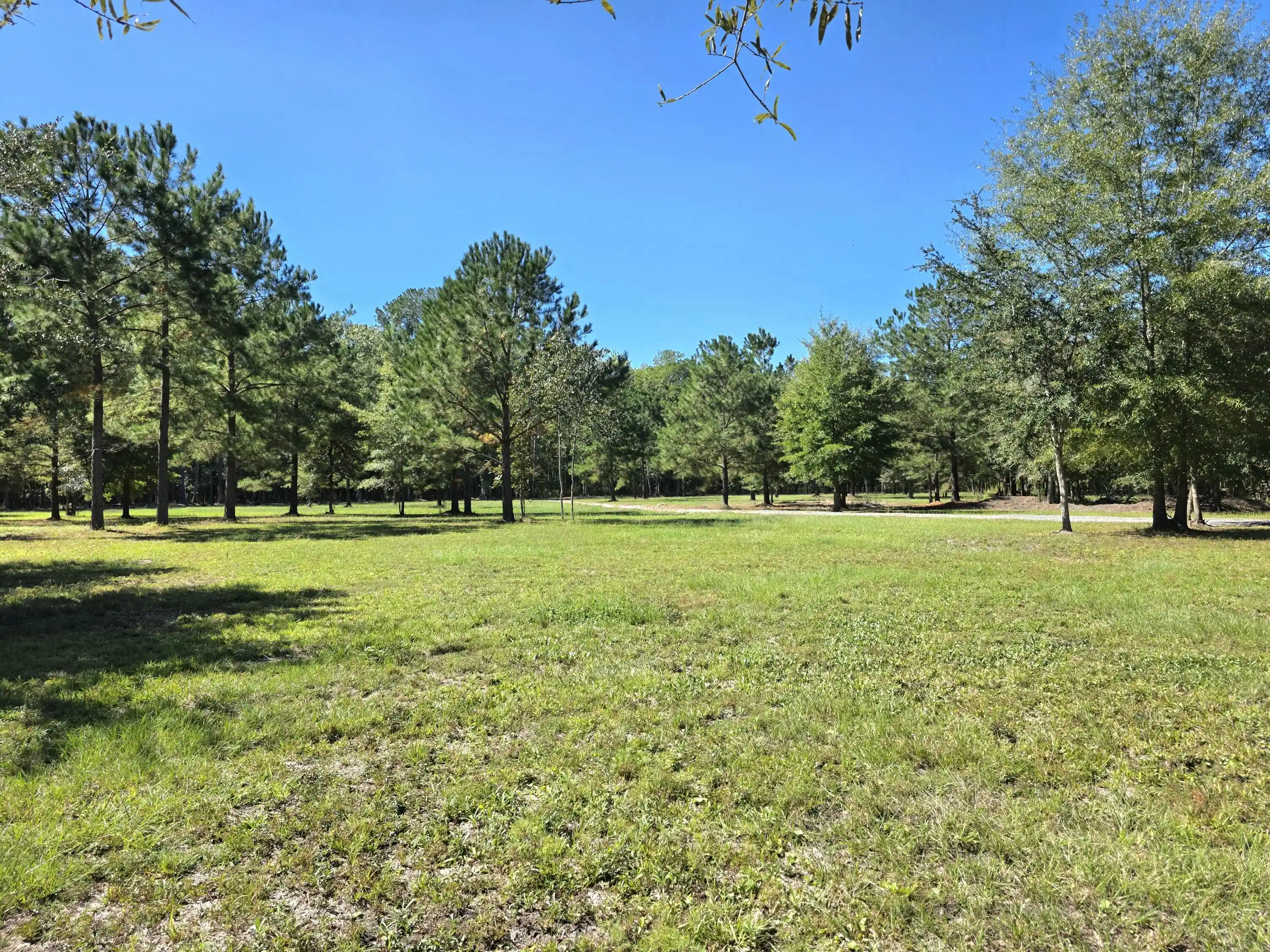 Land for sale at 368 Whites Ave, Cottageville, SC 29435 | MLS# 26028716