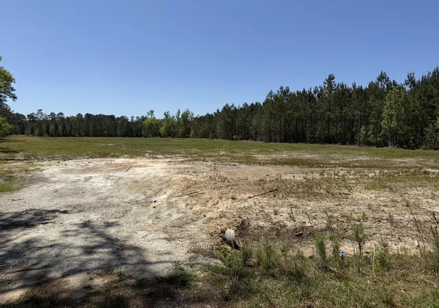 Homes for sale in Ridgeville, SC | 4 Rudd Rd, Ridgeville, SC 29472 | MLS# 25016873