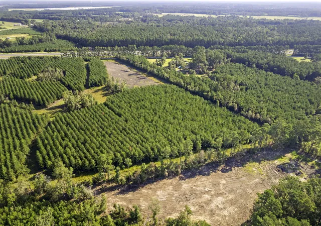 Photo 8 of Land for sale at 4 Rudd Rd, Ridgeville, SC 29472 | MLS# 25016873 | Listing updated on 2026-08-26