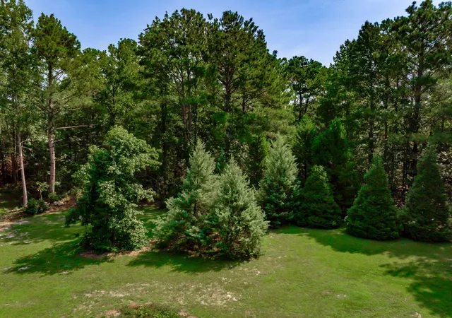 Photo 84 of Single family home for sale at 1253 Blackwell Dr, Manning, SC 29102 | MLS# 26024186 | Listing updated on 2026-08-28