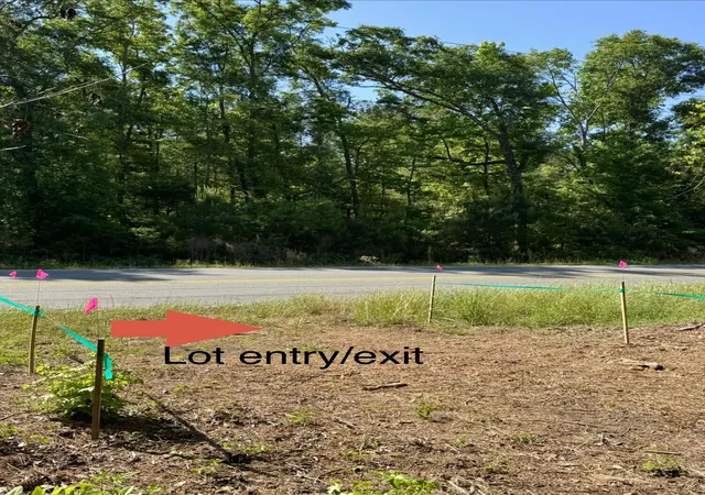 Photo 3 of Land for sale at 0 Delemar Hwy, Ravenel, SC 29470 | MLS# 26011392 | Listing updated on 2026-09-03