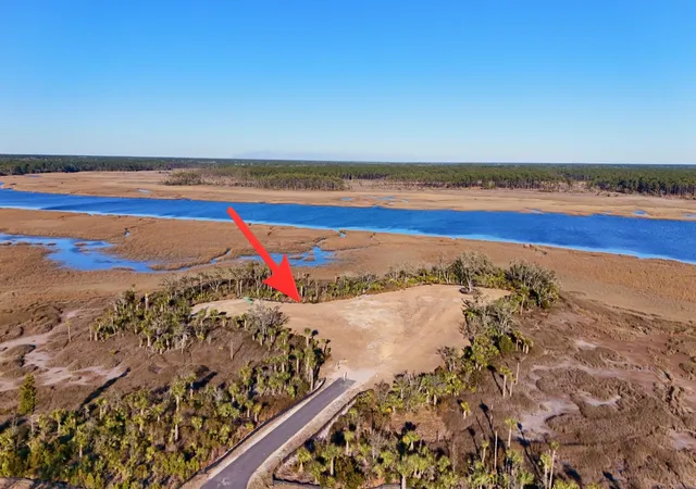 image of 1166 Ship Builder St, Daniel Island, SC 29492 | MLS# 26004612