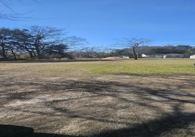 Photo 3 of Land for sale at 0 Deleston St, Charleston, SC 29412 | MLS# 24021024 | Listing updated on 2025-12-04