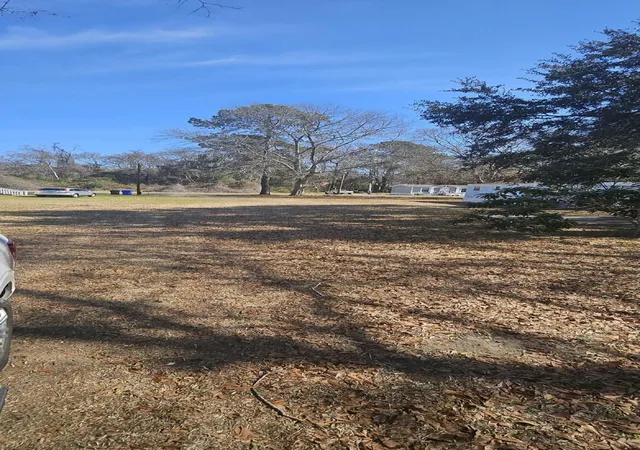 Photo 3 of Land for sale at 0 Deleston St, Charleston, SC 29412 | MLS# 24021024 | Listing updated on 2025-12-04