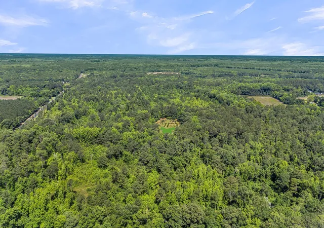 2nd image of 0 Wire Rd, Reevesville, SC 29471 | MLS# 26018062