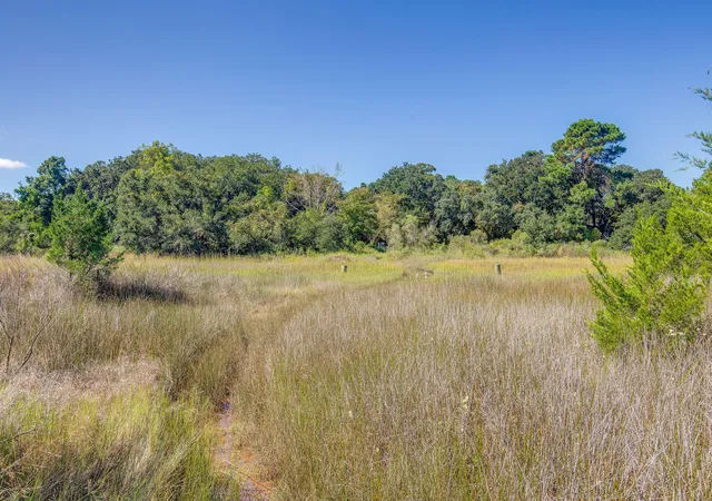 2nd image of 2731 Hamlin Beach Rd, Mount Pleasant, SC 29466 | MLS# 25028380