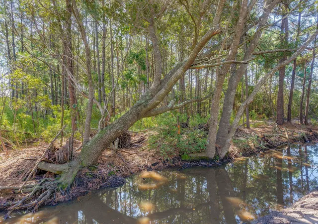 5th image of 2731 Hamlin Beach Rd, Mount Pleasant, SC 29466 | MLS# 25028380