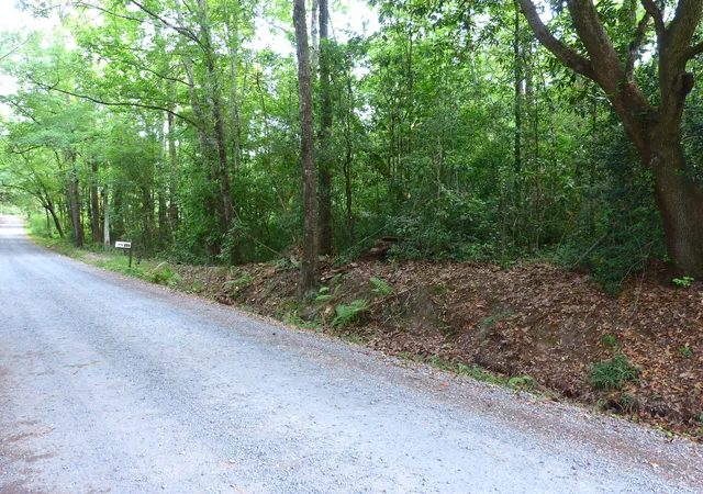 1st image of 0 Branch Rd, Moncks Corner, SC 29461 | MLS# 26015756