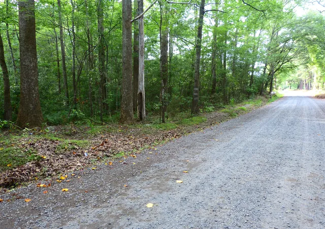 2nd image of 0 Branch Rd, Moncks Corner, SC 29461 | MLS# 26015756