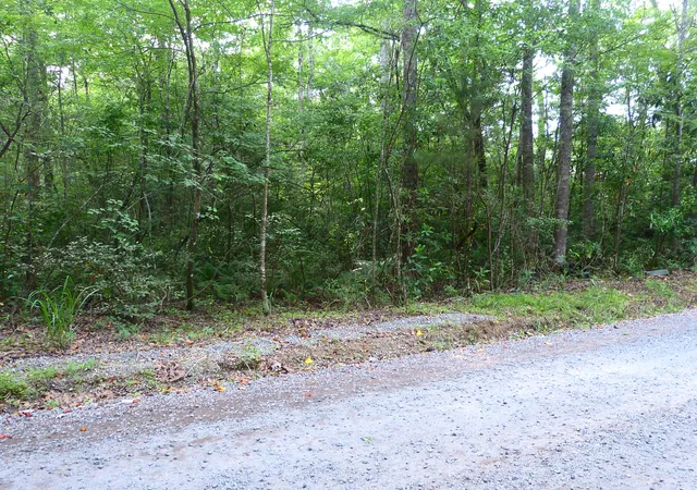 Photo 3 of Land for sale at 0 Branch Rd, Moncks Corner, SC 29461 | MLS# 26015756 | Listing updated on 2026-07-21