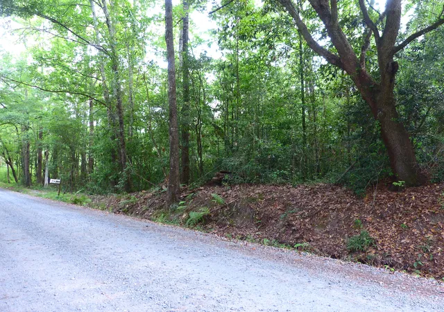 Photo 3 of Land for sale at 0 Branch Rd, Moncks Corner, SC 29461 | MLS# 26015756 | Listing updated on 2026-07-21