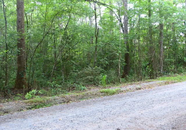 Photo 4 of Land for sale at 0 Branch Rd, Moncks Corner, SC 29461 | MLS# 26015756 | Listing updated on 2026-07-21