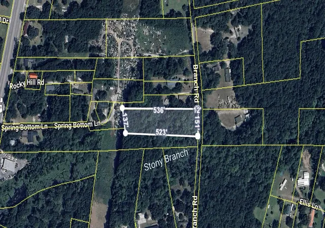 8th image of 0 Branch Rd, Moncks Corner, SC 29461 | MLS# 26015756