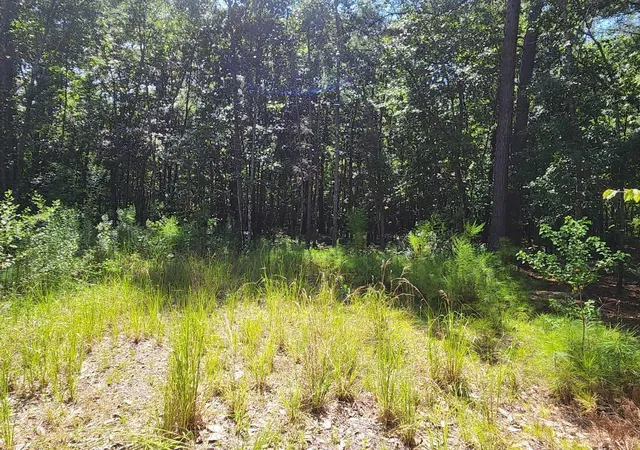 Photo 2 of Land for sale at 5863 Miley Hill Rd, Ravenel, SC 29470 | MLS# 26024316 | Listing updated on 2026-09-21