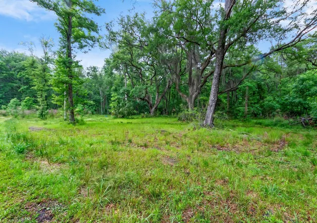 Photo 3 of Land for sale at 7855 Mary Seabrook Rd, Edisto Island, SC 29438 | MLS# 26023487 | Listing updated on 2026-08-18