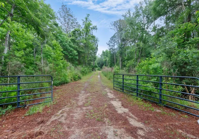 5th image of 7855 Mary Seabrook Rd, Edisto Island, SC 29438 | MLS# 26023487