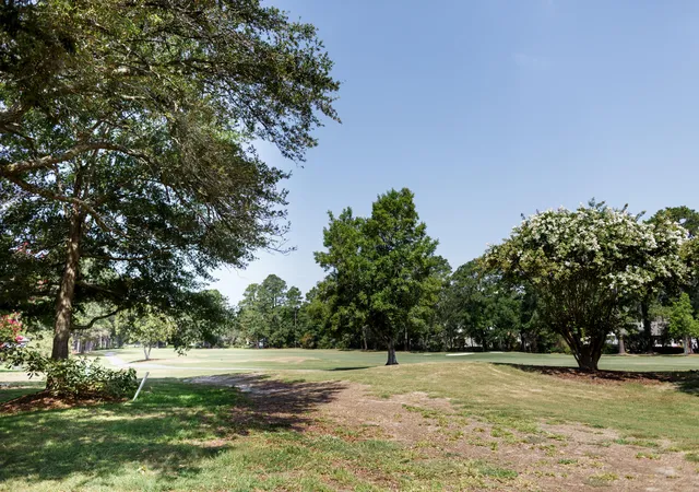 4th image of 101 Ventura Pl, Mount Pleasant, SC 29464 | MLS# 26020542
