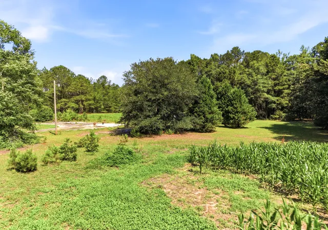 Homes for sale in Manning, SC | 2023 Joseph Lemon And Dingle, Manning, SC 29102 | MLS# 26016136