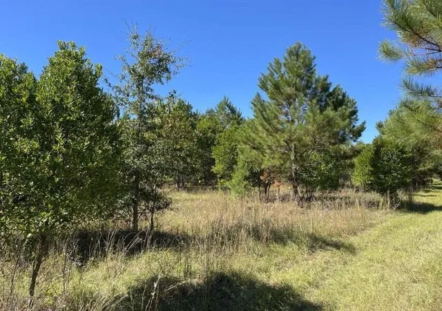 Photo 3 of Land for sale at 0 Carolina Hwy, Olar, SC 29843 | MLS# 26001451 | Listing updated on 2026-07-16