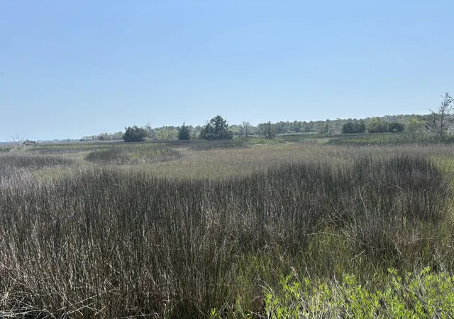 Photo 1 of Land for sale at 2035 Sol Legare Rd, Charleston, SC 29412 | MLS# 26012482 | Listing updated on 2026-06-08