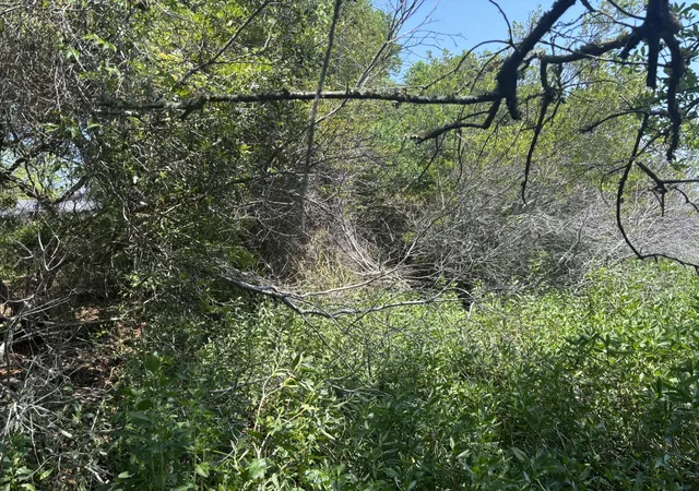 Photo 2 of Land for sale at 2035 Sol Legare Rd, Charleston, SC 29412 | MLS# 26012482 | Listing updated on 2026-06-08