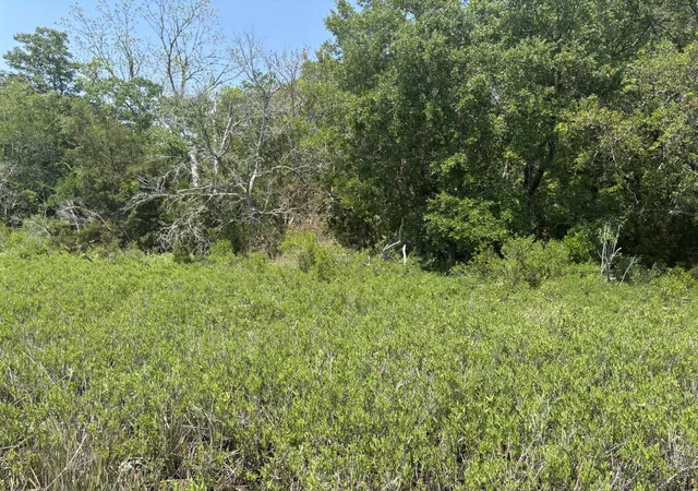 Photo 3 of Land for sale at 2035 Sol Legare Rd, Charleston, SC 29412 | MLS# 26012482 | Listing updated on 2026-06-08