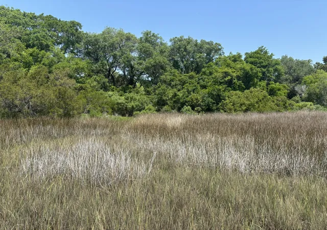 Photo 3 of Land for sale at 2035 Sol Legare Rd, Charleston, SC 29412 | MLS# 26012482 | Listing updated on 2026-06-08
