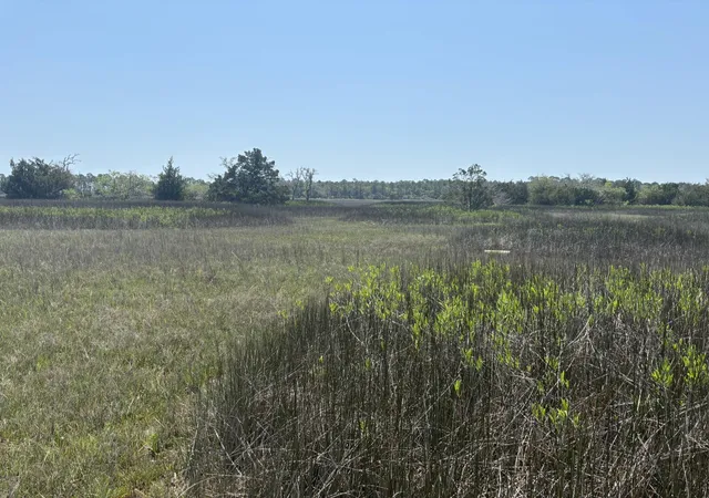 Photo 4 of Land for sale at 2035 Sol Legare Rd, Charleston, SC 29412 | MLS# 26012482 | Listing updated on 2026-06-08